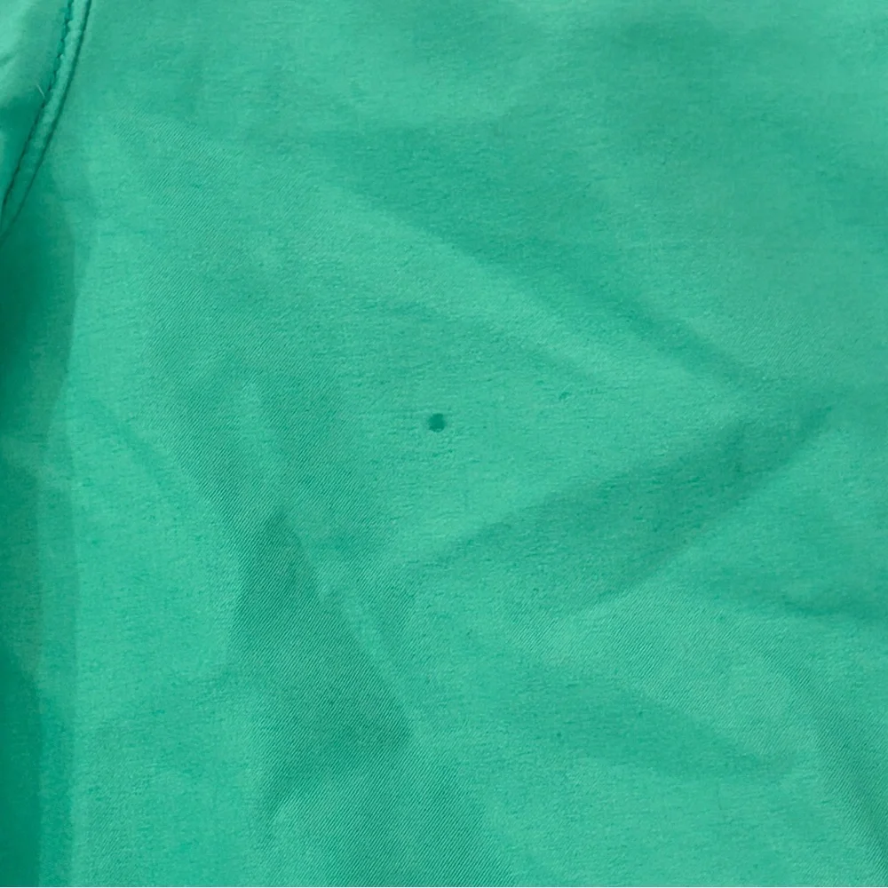 Hollister California Mint Green Surf Swim Trunks Board Shorts Men’s Size L 34-36